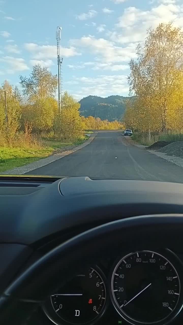 @Екатерина Михайлова
