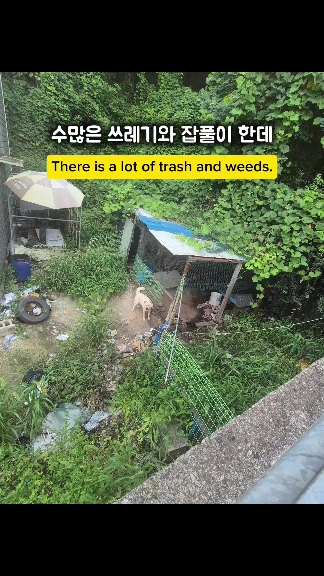 @하필유필