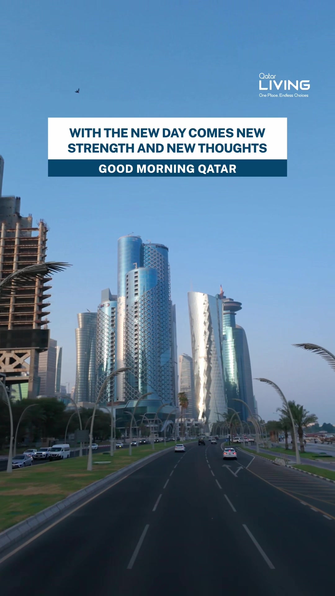 @Qatar Living