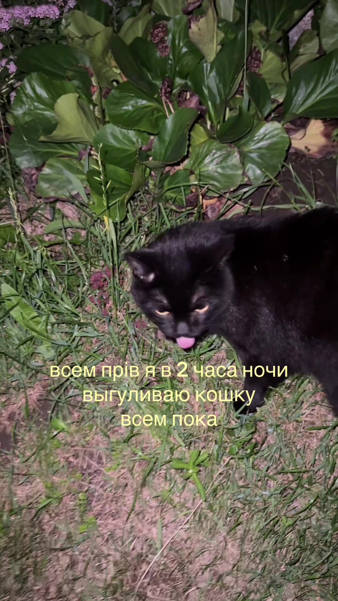@ринали