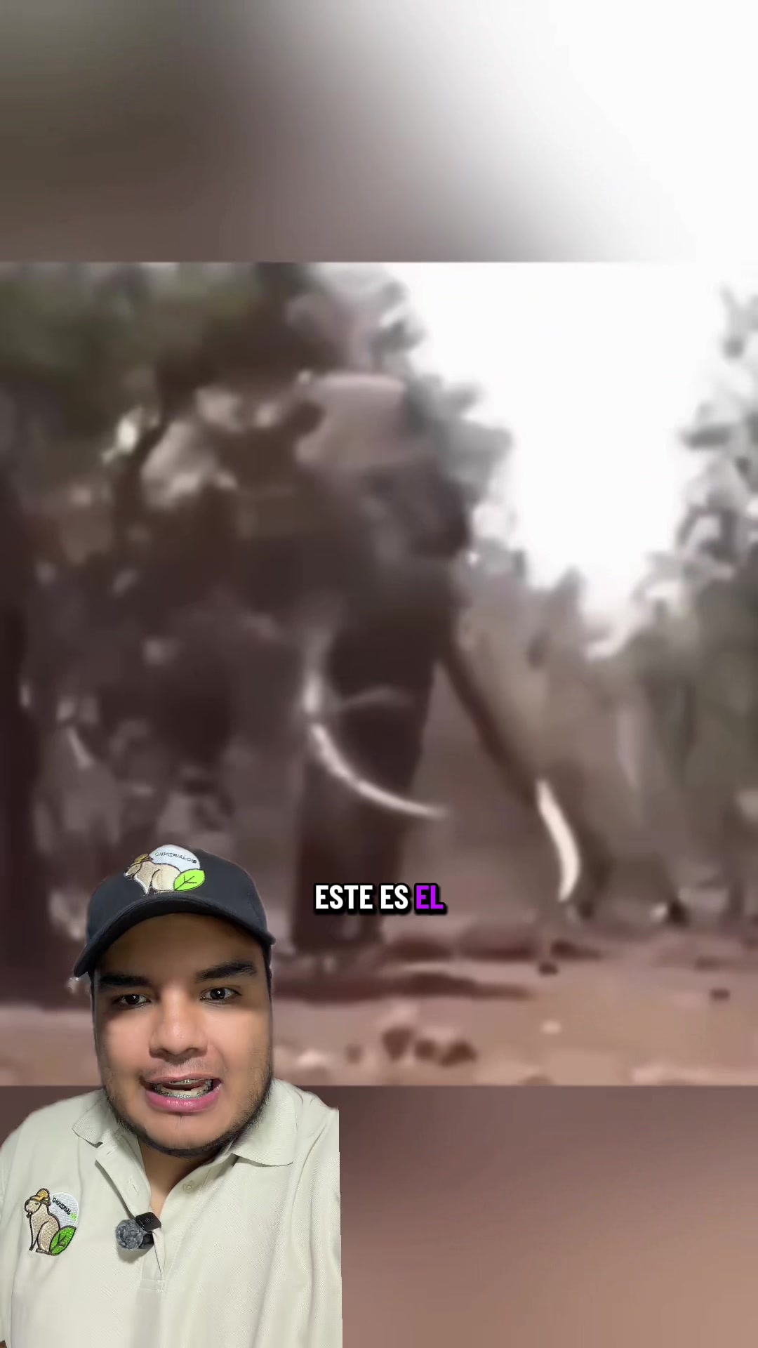@Jair Herrera 🐆