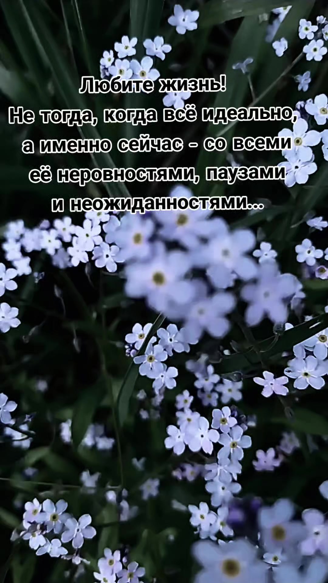 @Lesya Bronzova