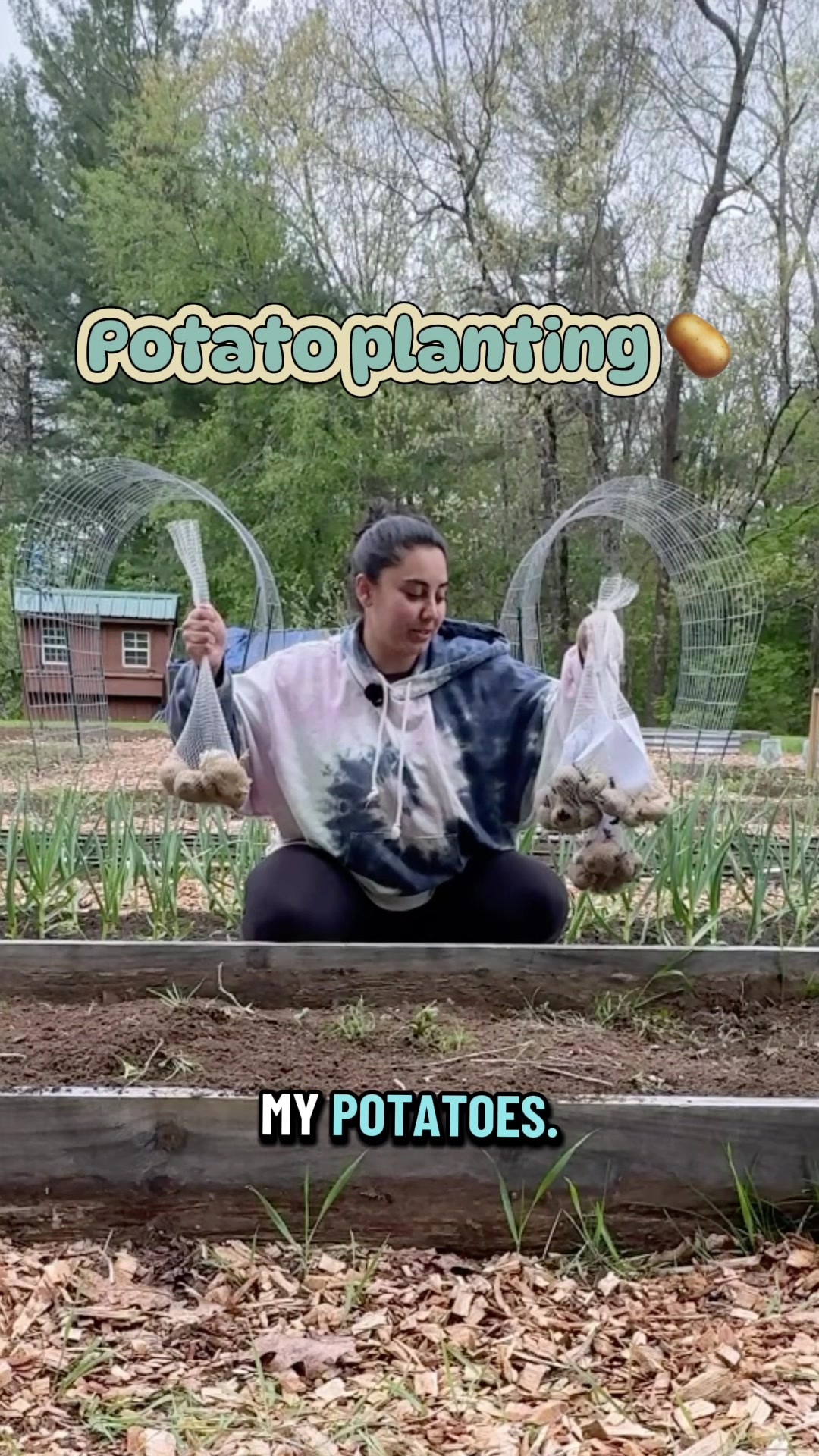 @Manica | zone 6a gardener
