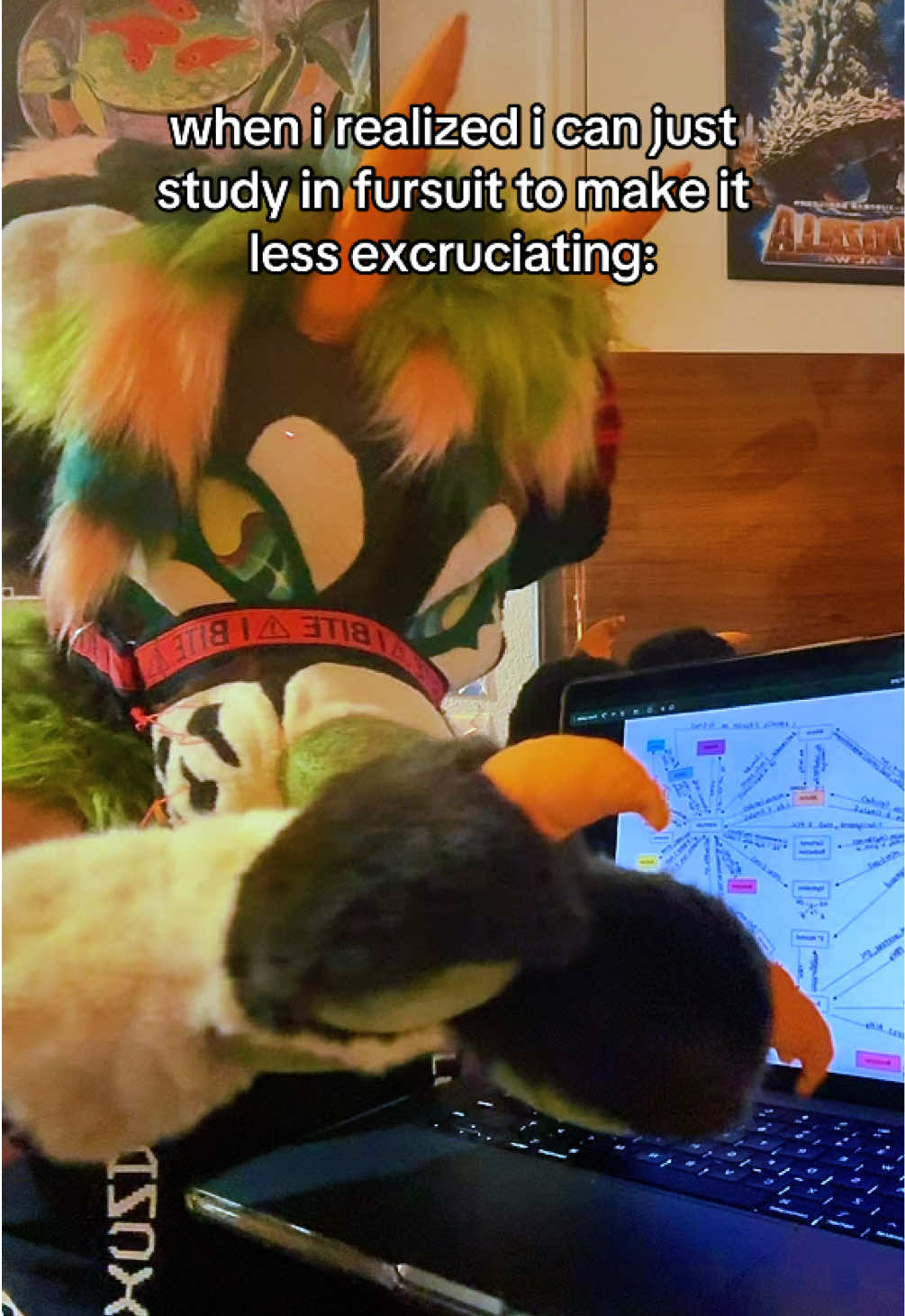 @⟡ LEXZIILLA ⟡