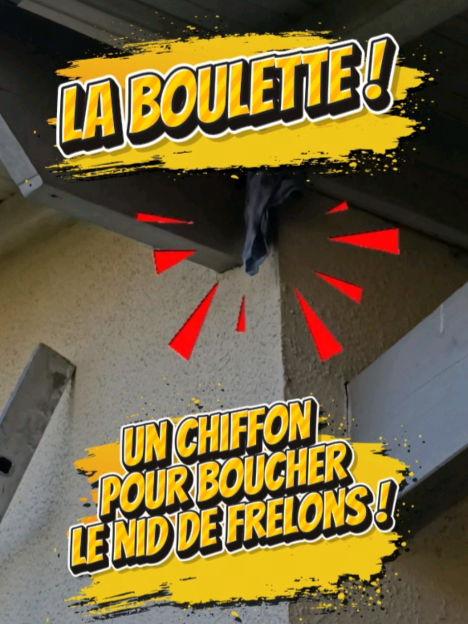 @Médoc Guêpes Frelons Services