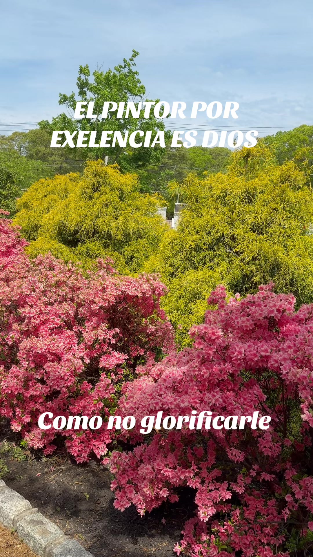 @Adelsomusicacristiana