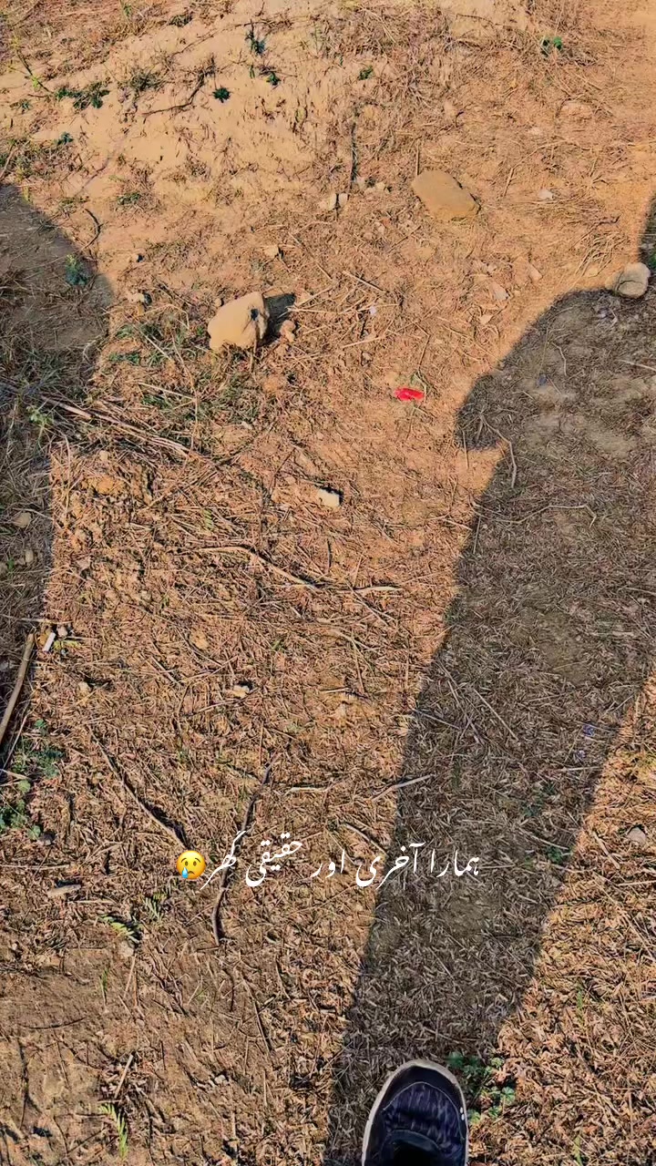 @فیصل سرور