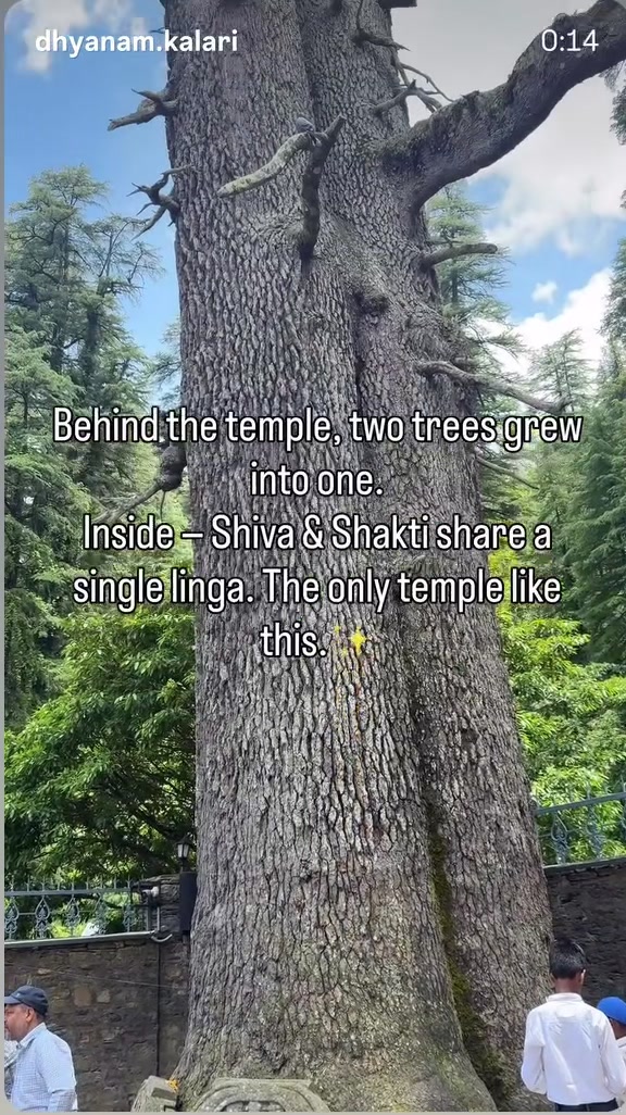 @Srijet