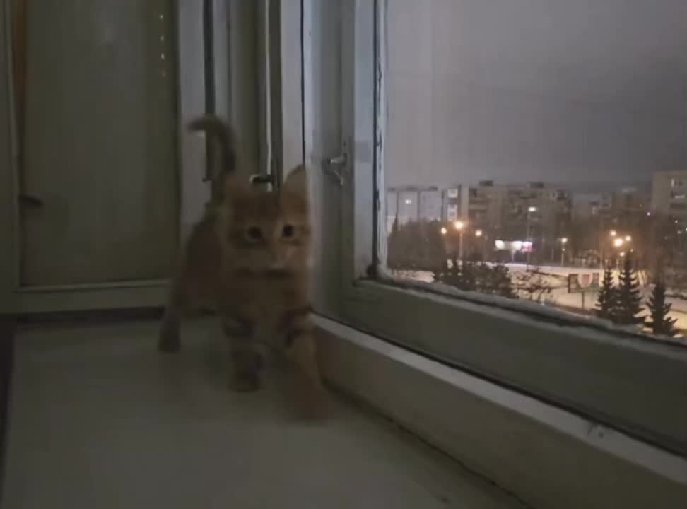 @для липсингов