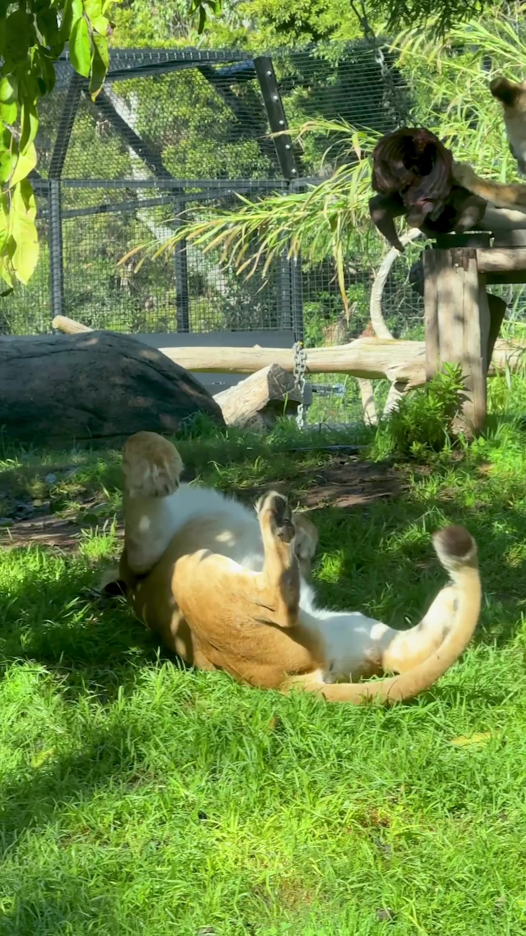 @Perth Zoo