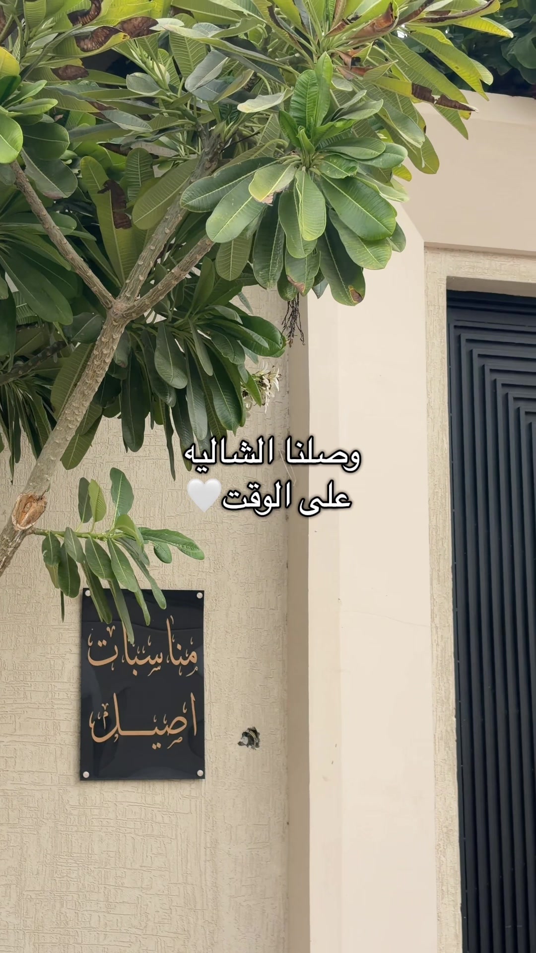 @منال الخالدي | مصورة زواجات