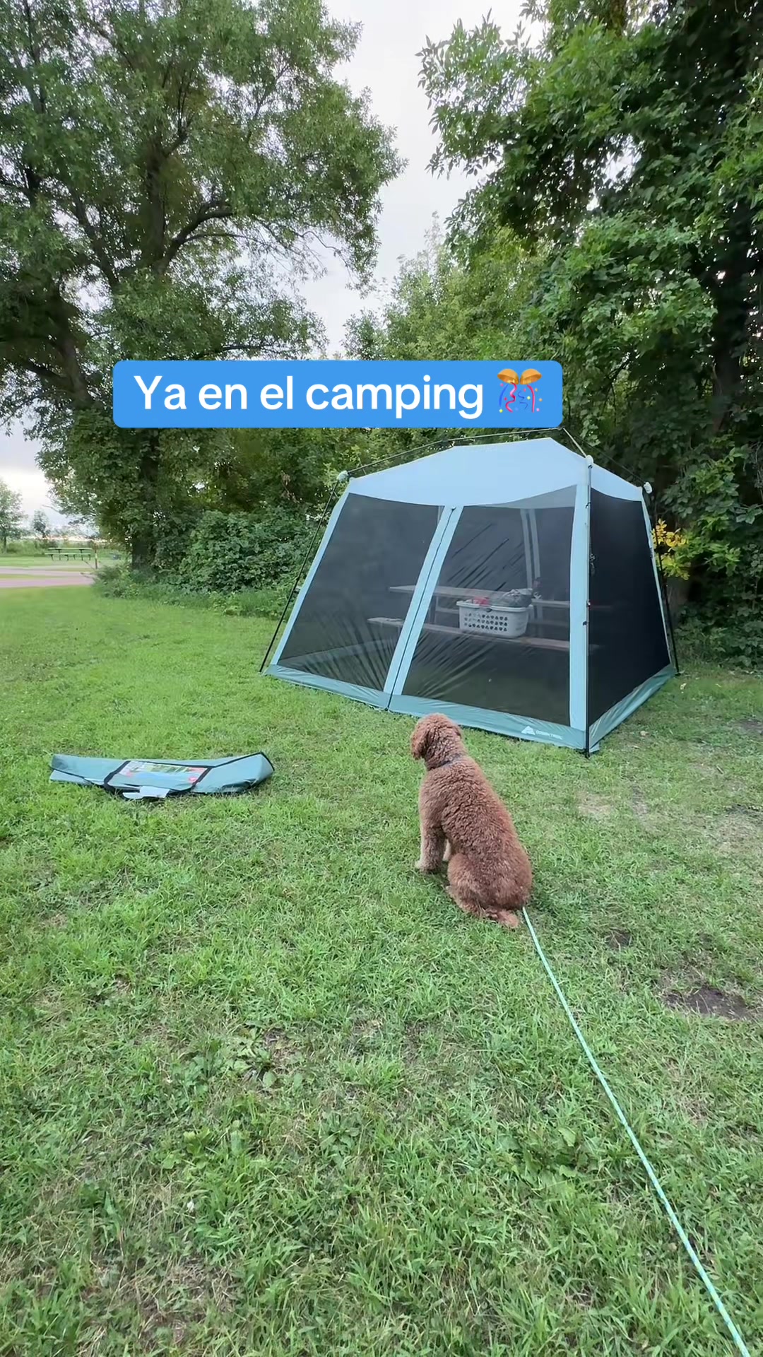 @Reyna y Churro 🐶😍
