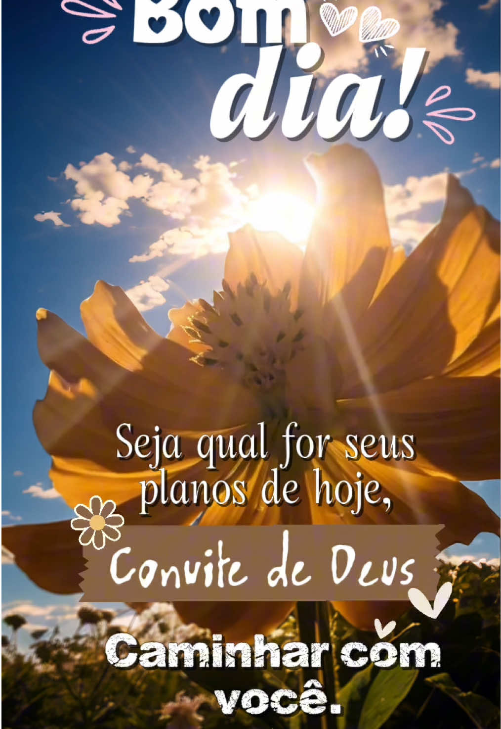 @feemotivacaos2