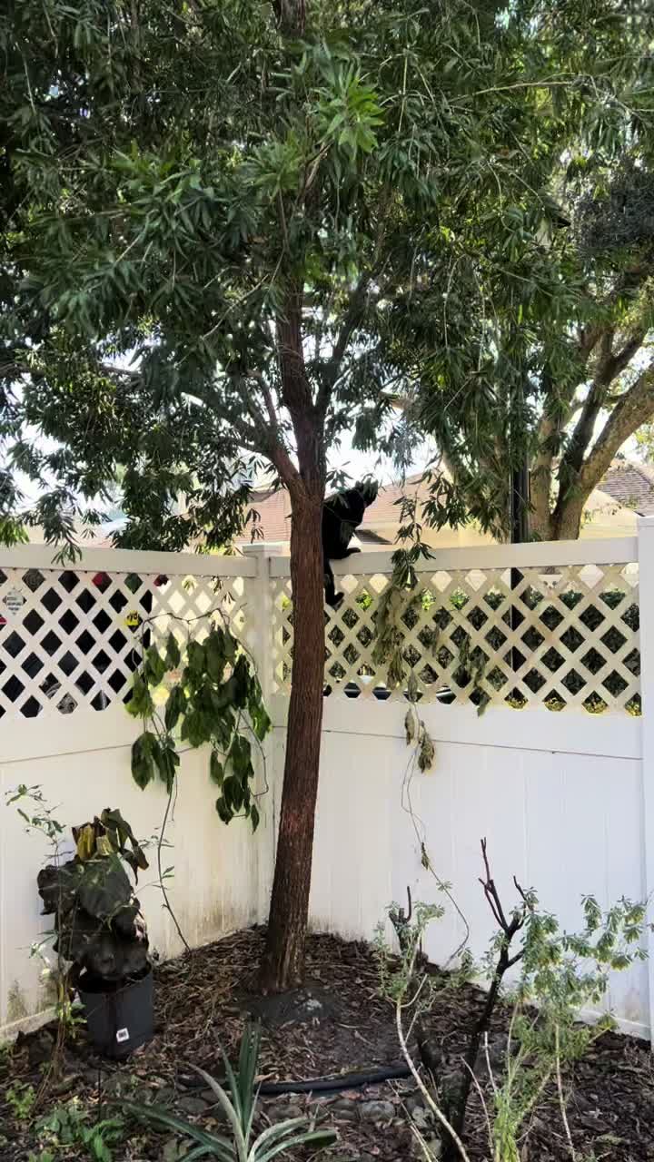 @Breannavanloo