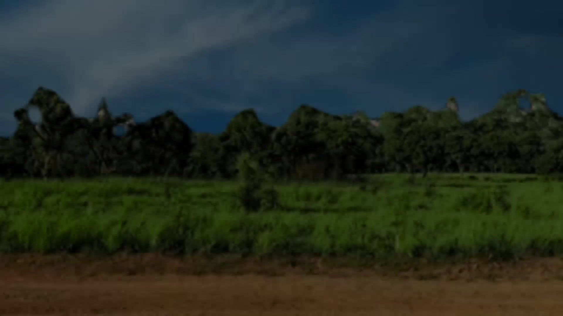 @Weather2videos.com Official°