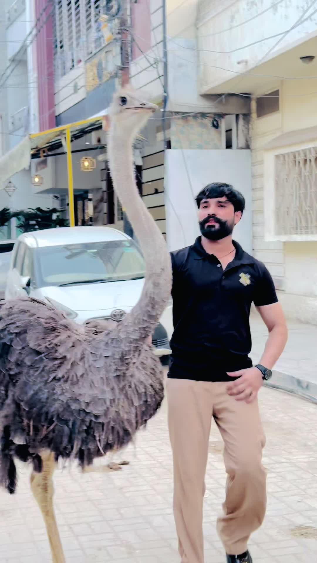 @SuFi Rasheed,,