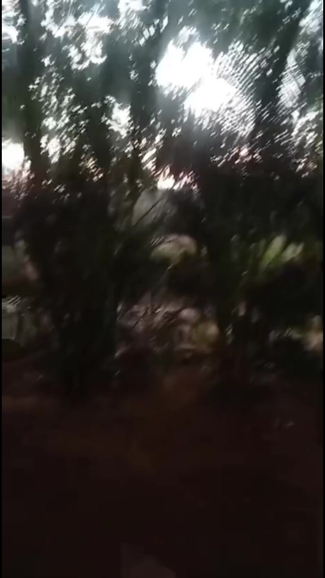 @F&aacute;tima Andrade Locutora 92.5fm
