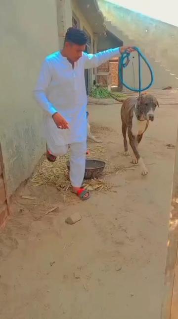 @⚡GUJJAR ⚡