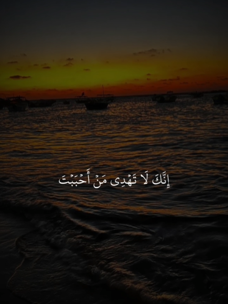 @Salem Ali