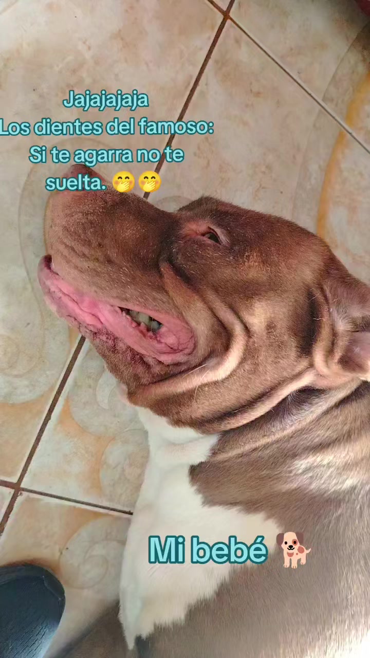 @Maricela Avila