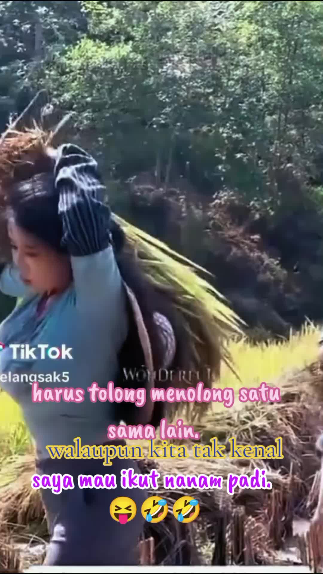 @🫡penan@SELUNGO🫡