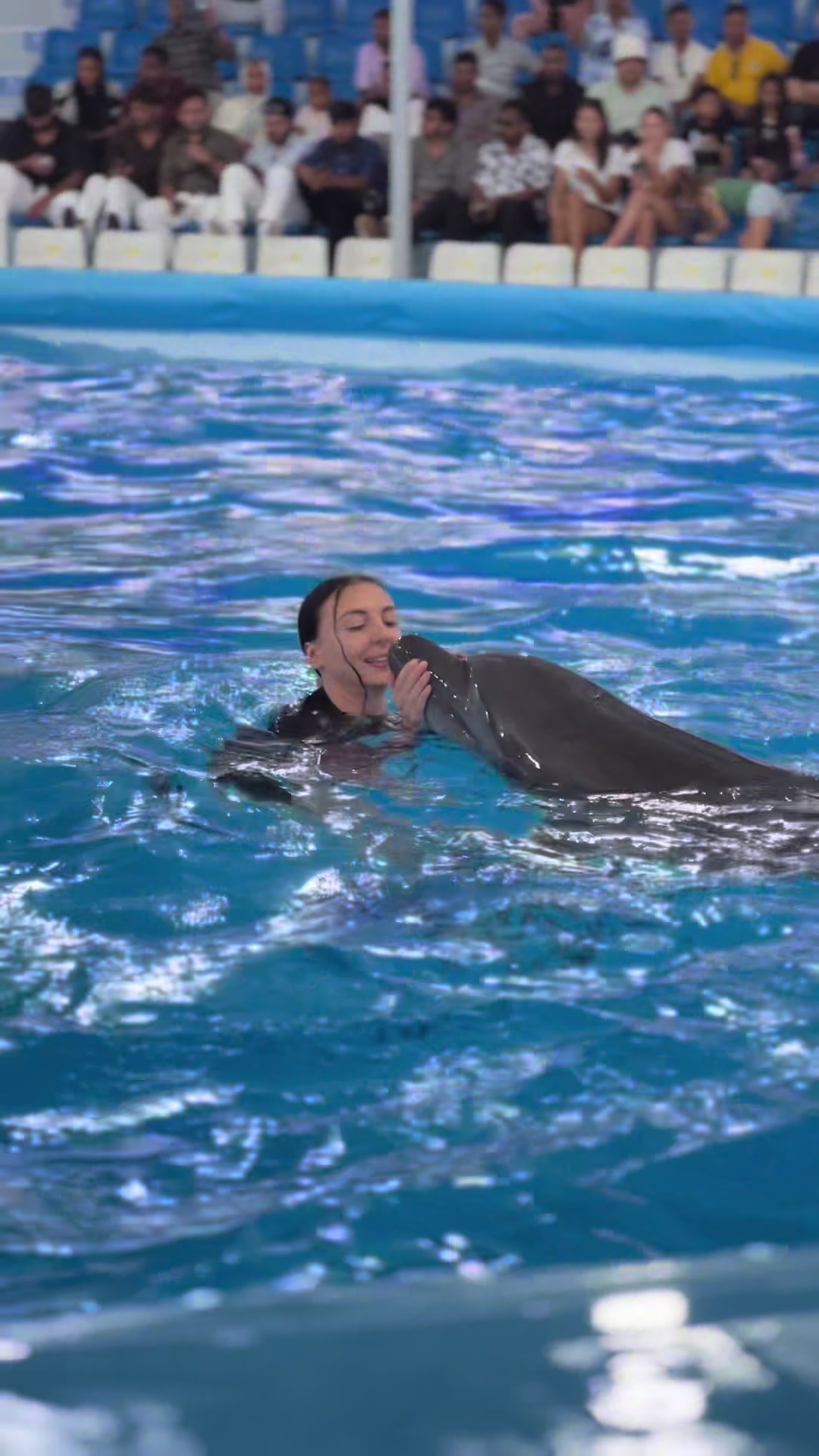 @Pattaya Dolphinarium