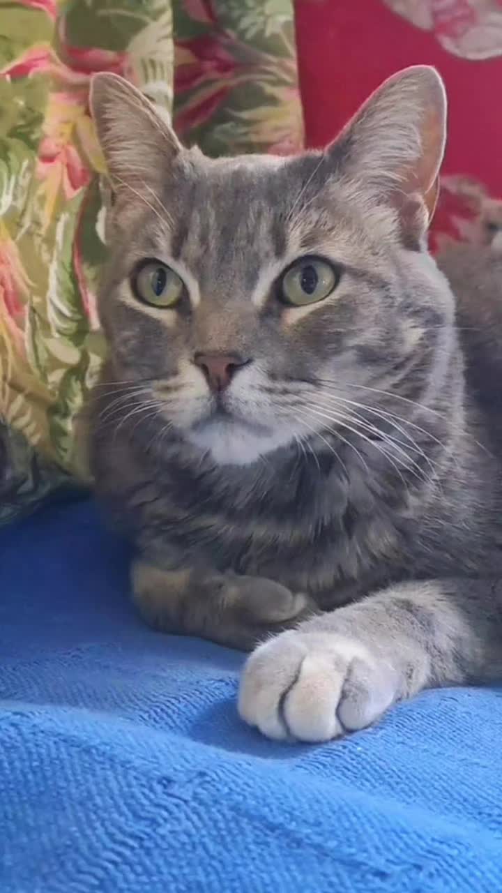 @Benita bonita