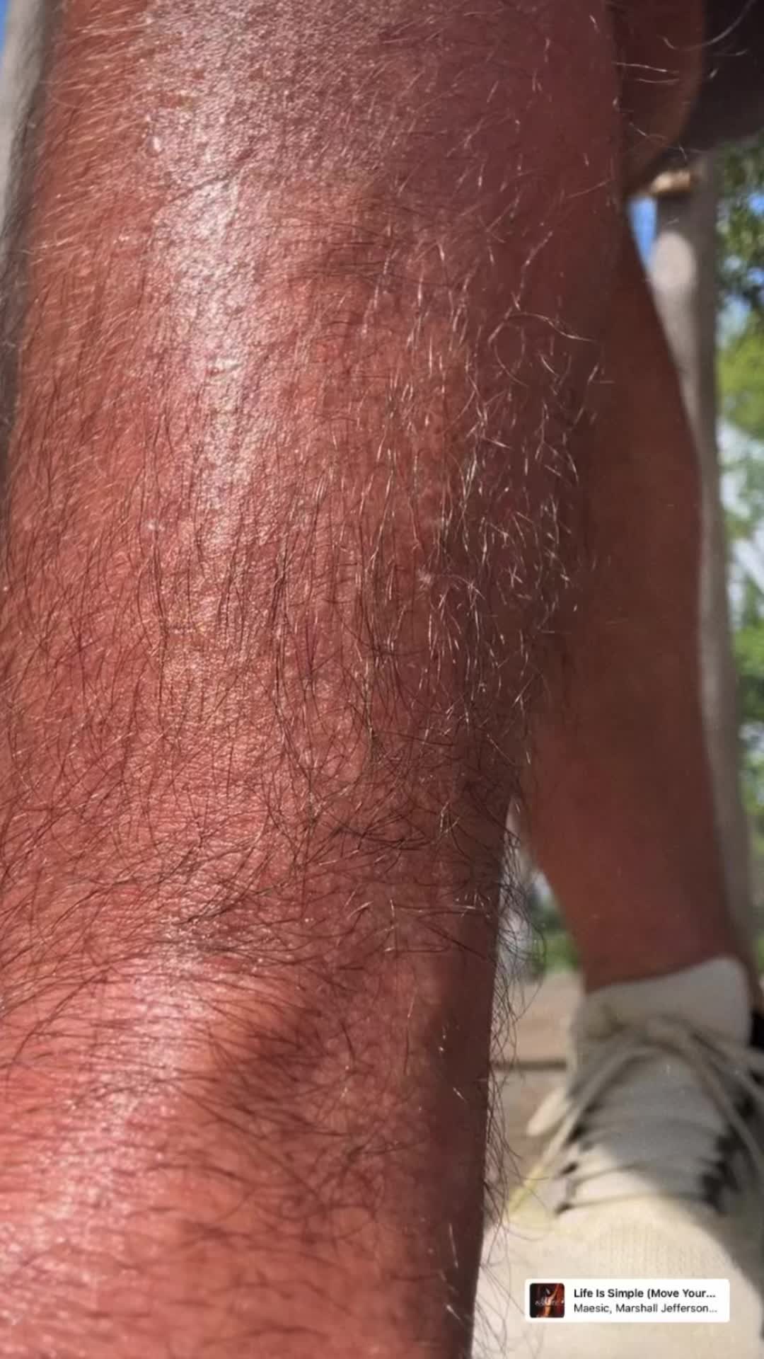 @dukebraden