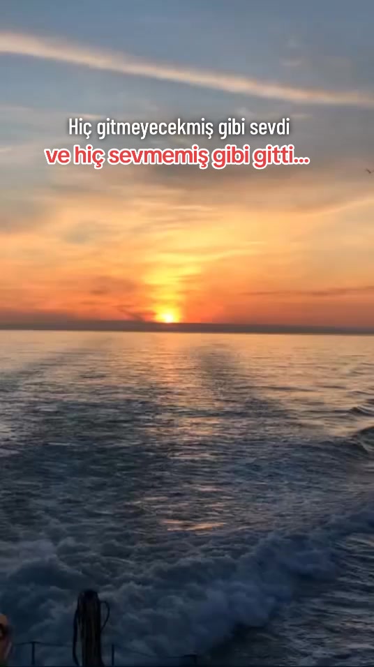 @🌹 𝓴𝓪𝓭𝓮𝓻 28
