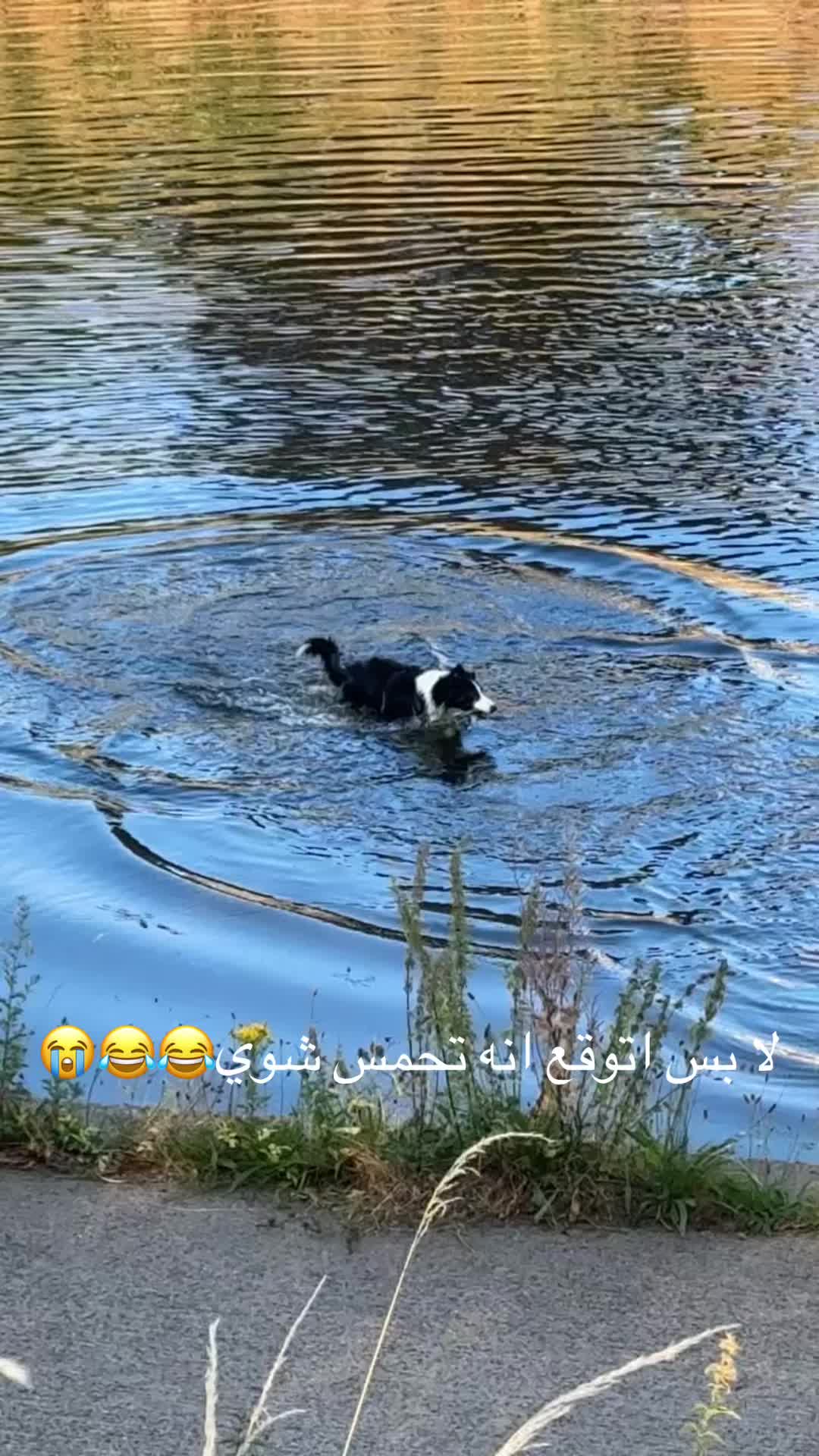 @ساره بن نحيت👸🏻