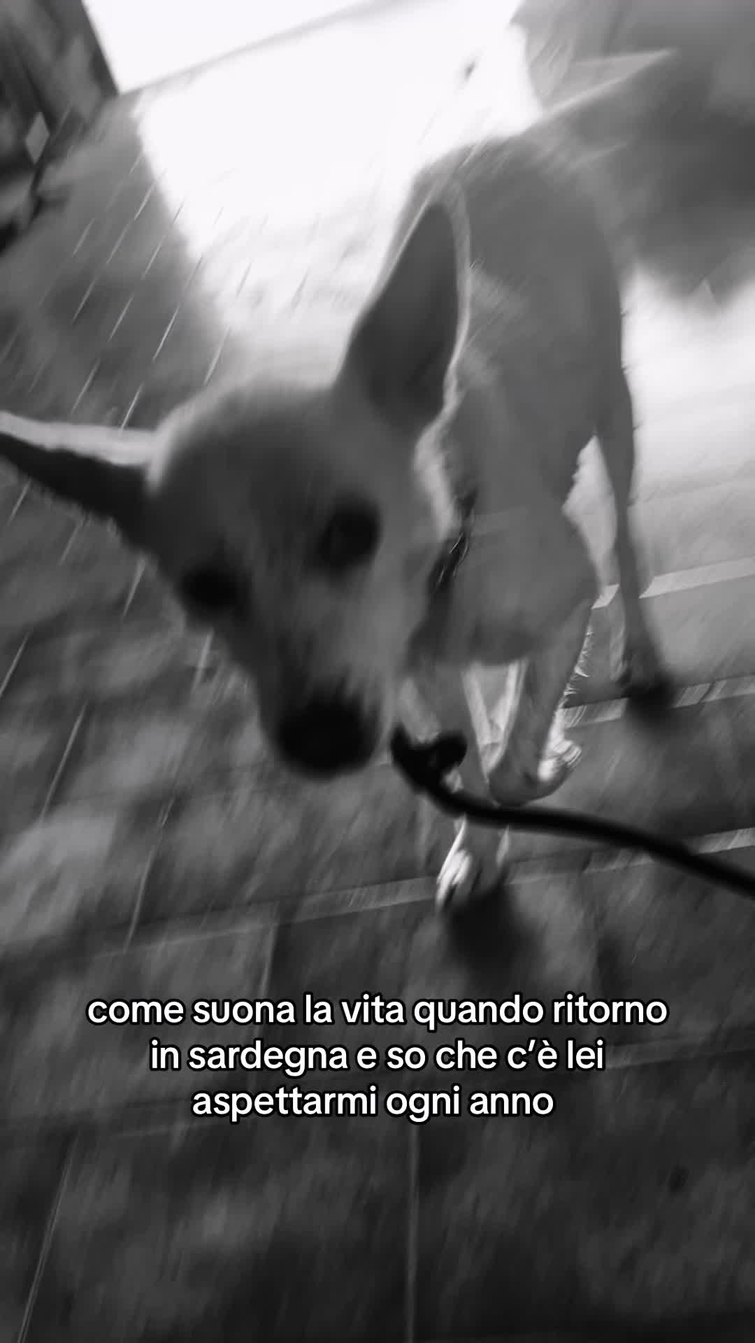 @lapiùbella!