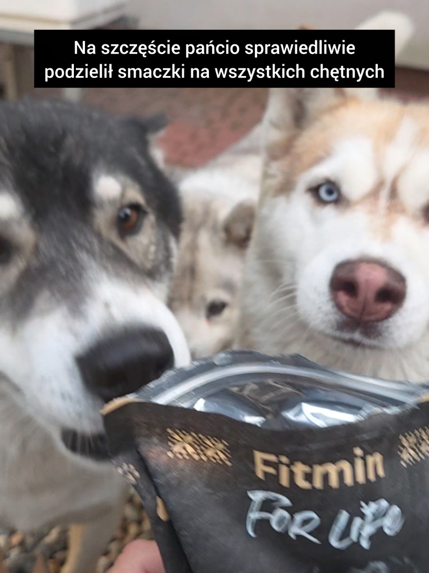 @husky.ananaski