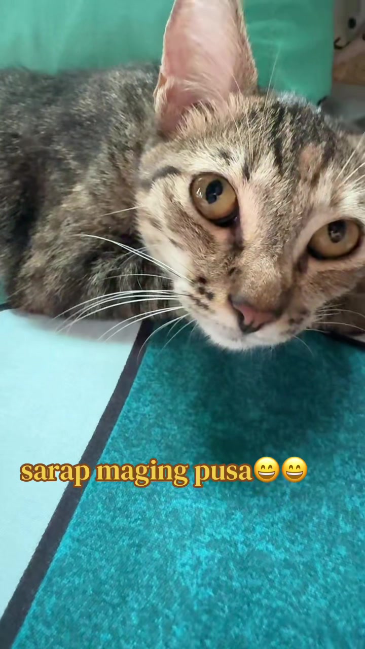 @️ྀིྀི ྀིྀི :)