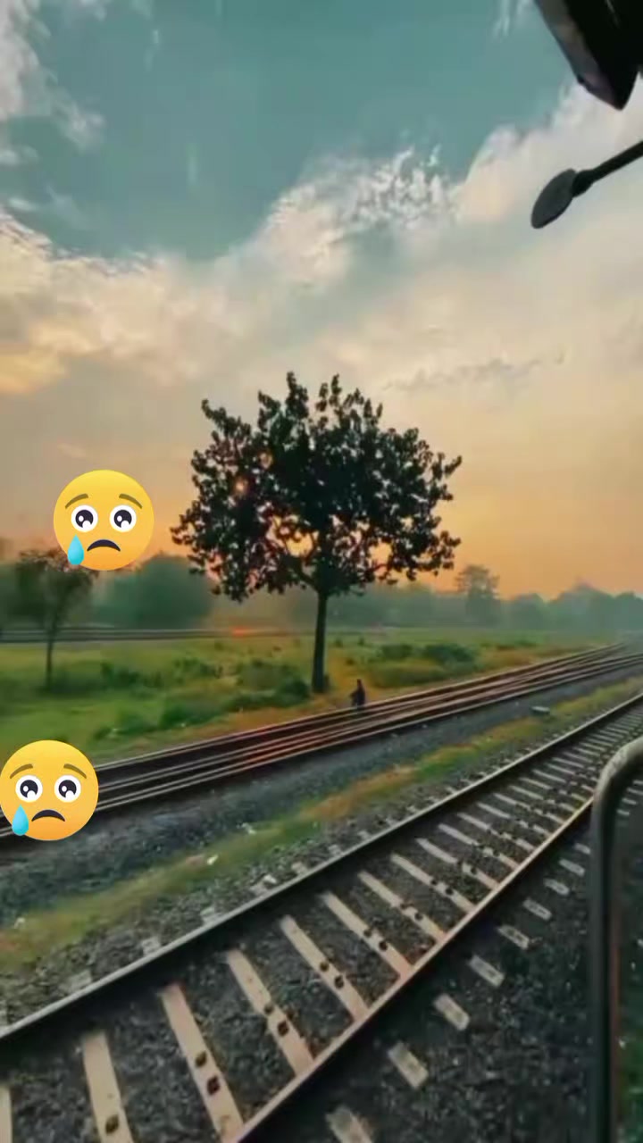 @limon&ccedil;i&ccedil;eği