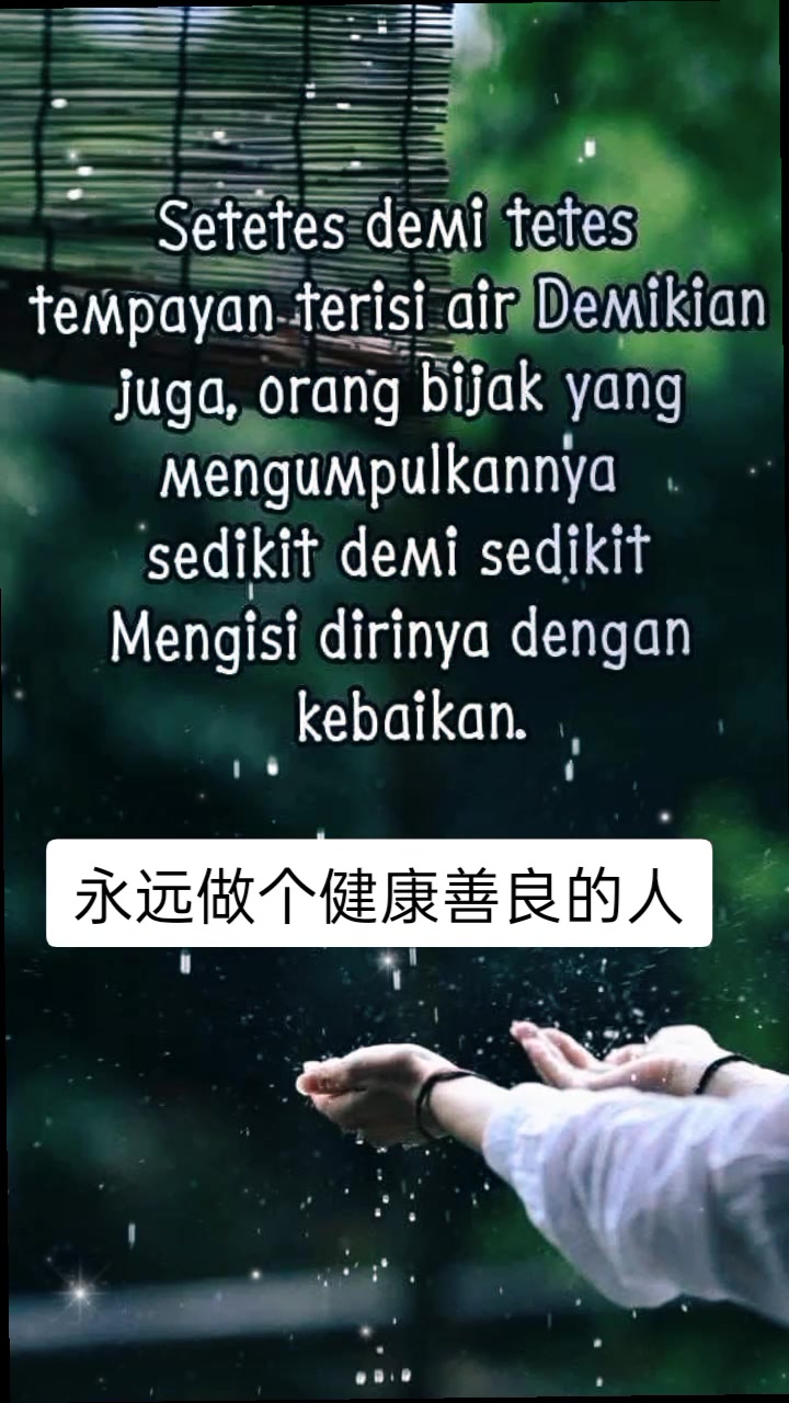 @kamilaitis2