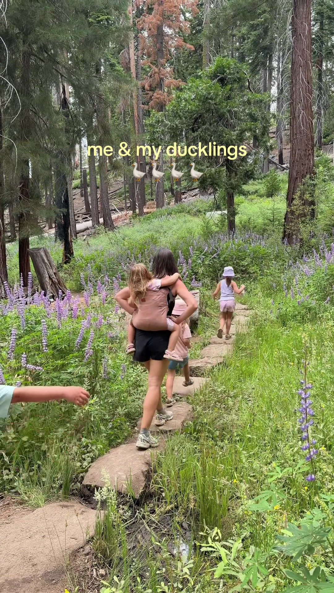 @April Lynch