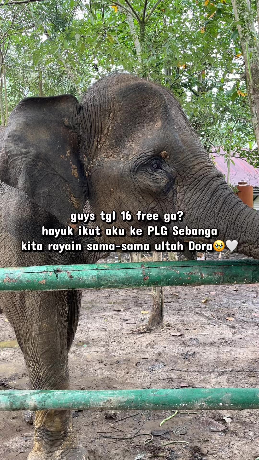 @ridhanrhyti ꫂ❁
