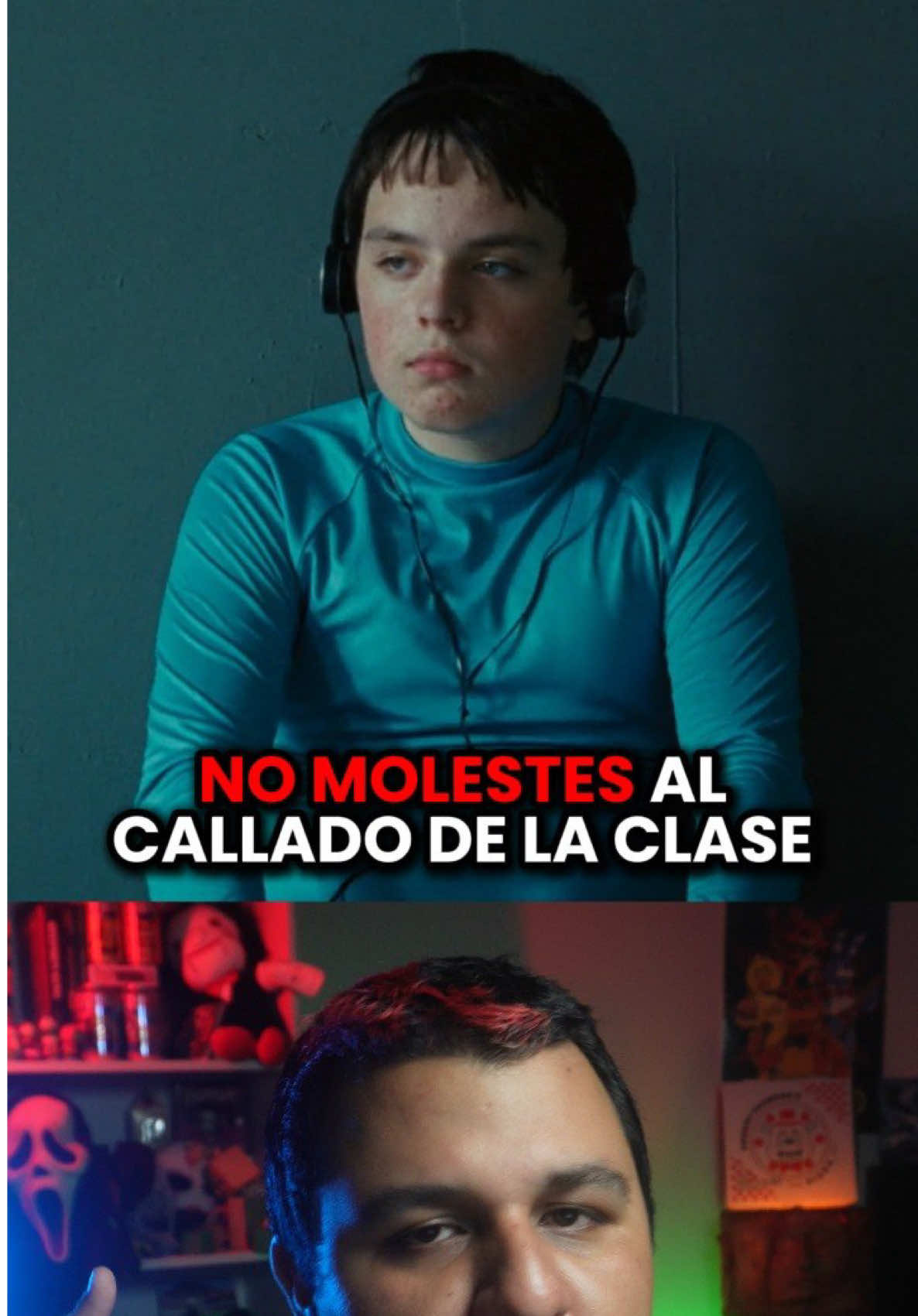 @Mister Panda