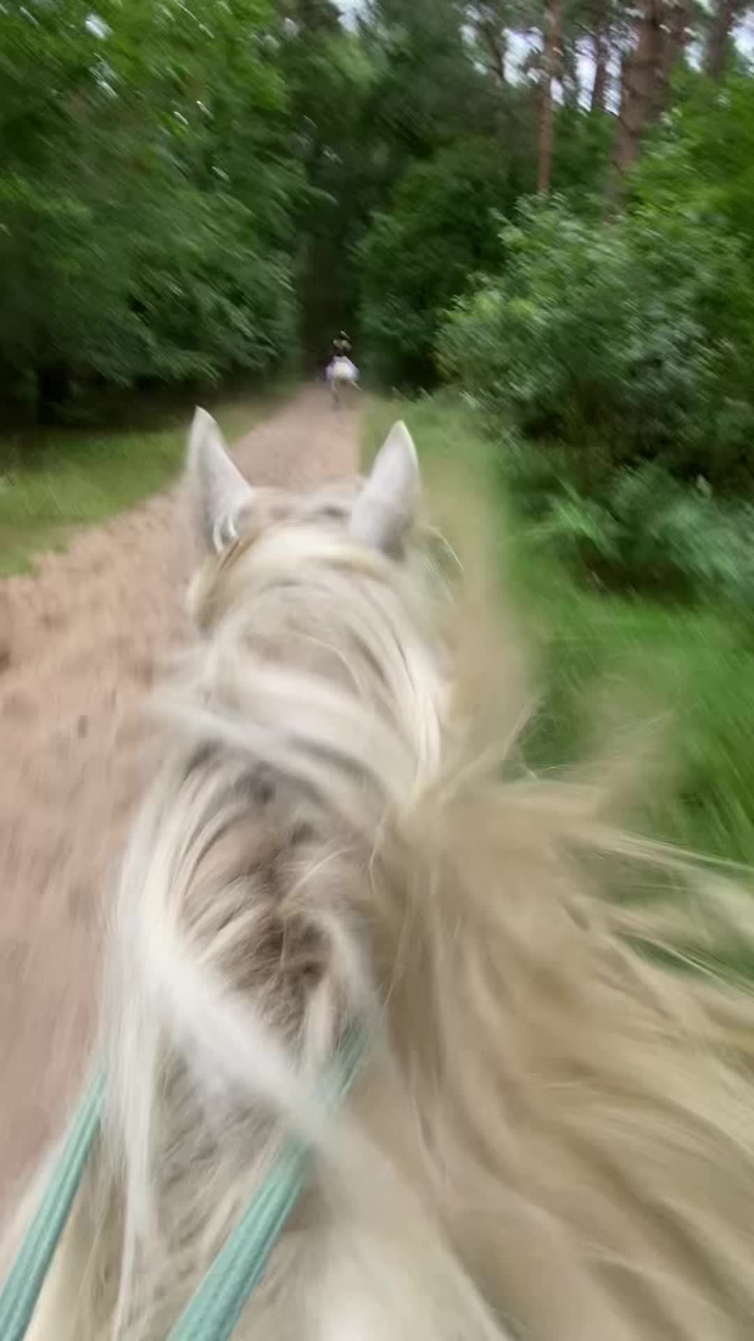 @Amy 🫶🏻🐴