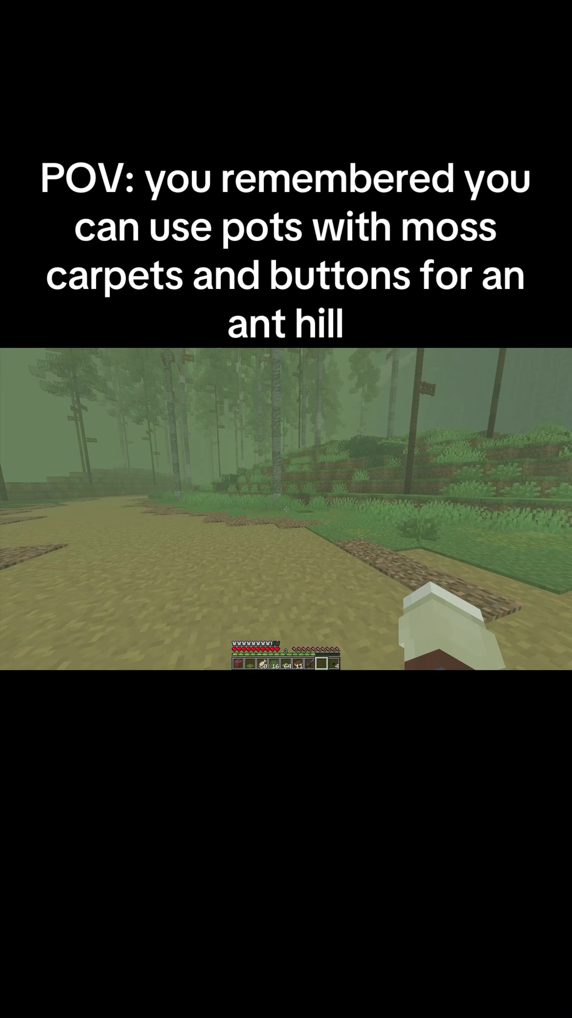 @flzzzzf