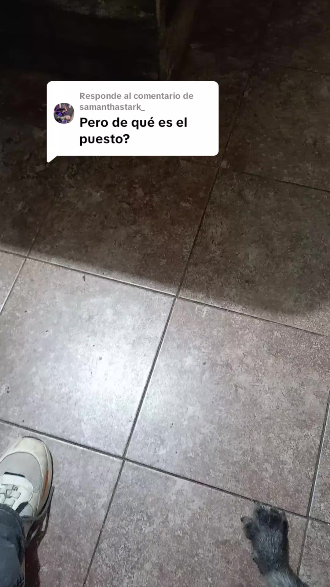 @Elyodaarana