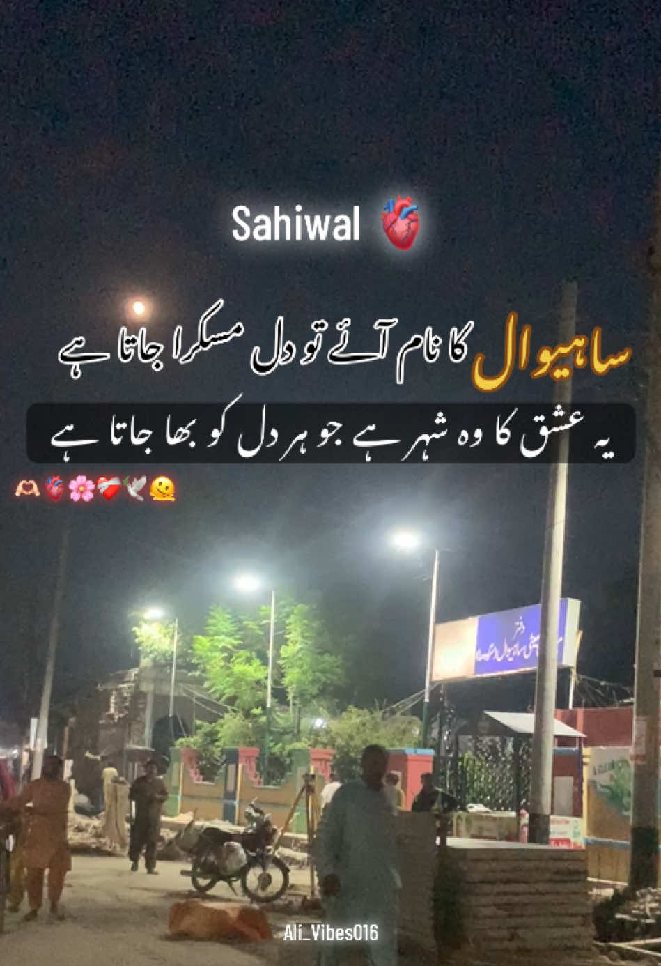 @Ali_Vibes016