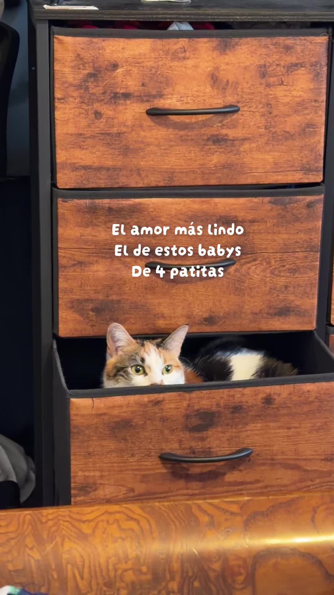 @Elidetodounpoco