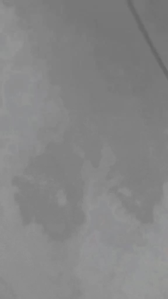 @Maliha Perviz