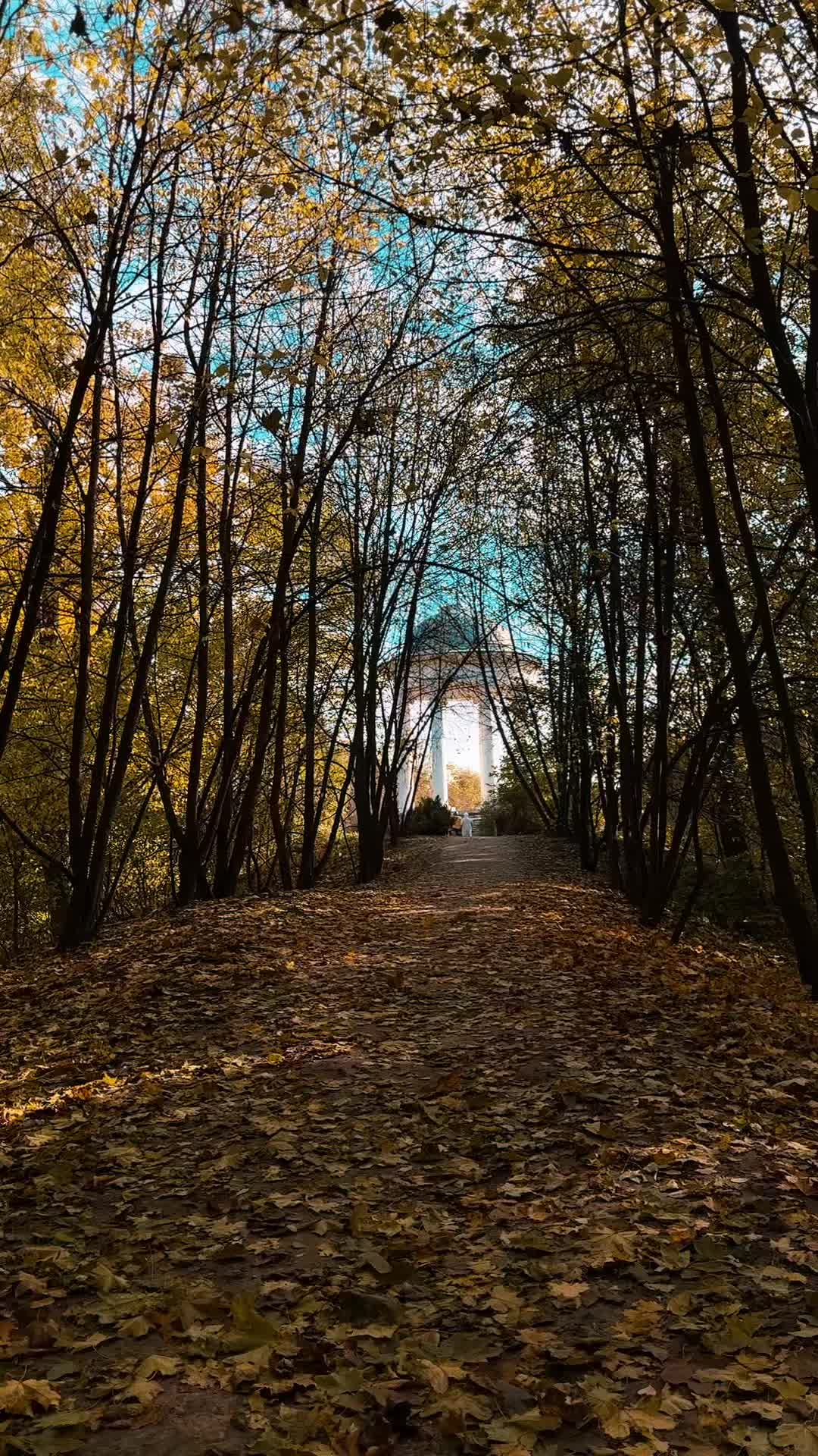 @Яна Шматко