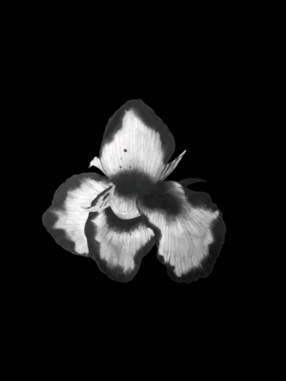 @𝐒𝐓𝐀𝐑'𝐒
