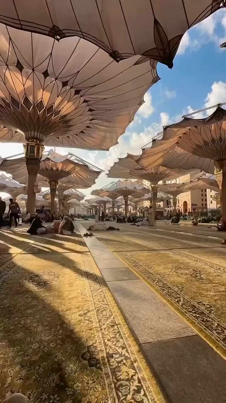 @ᬊ᭄የቦረናዉᬊᬁ★ንስር 🦅☪✌★᭄