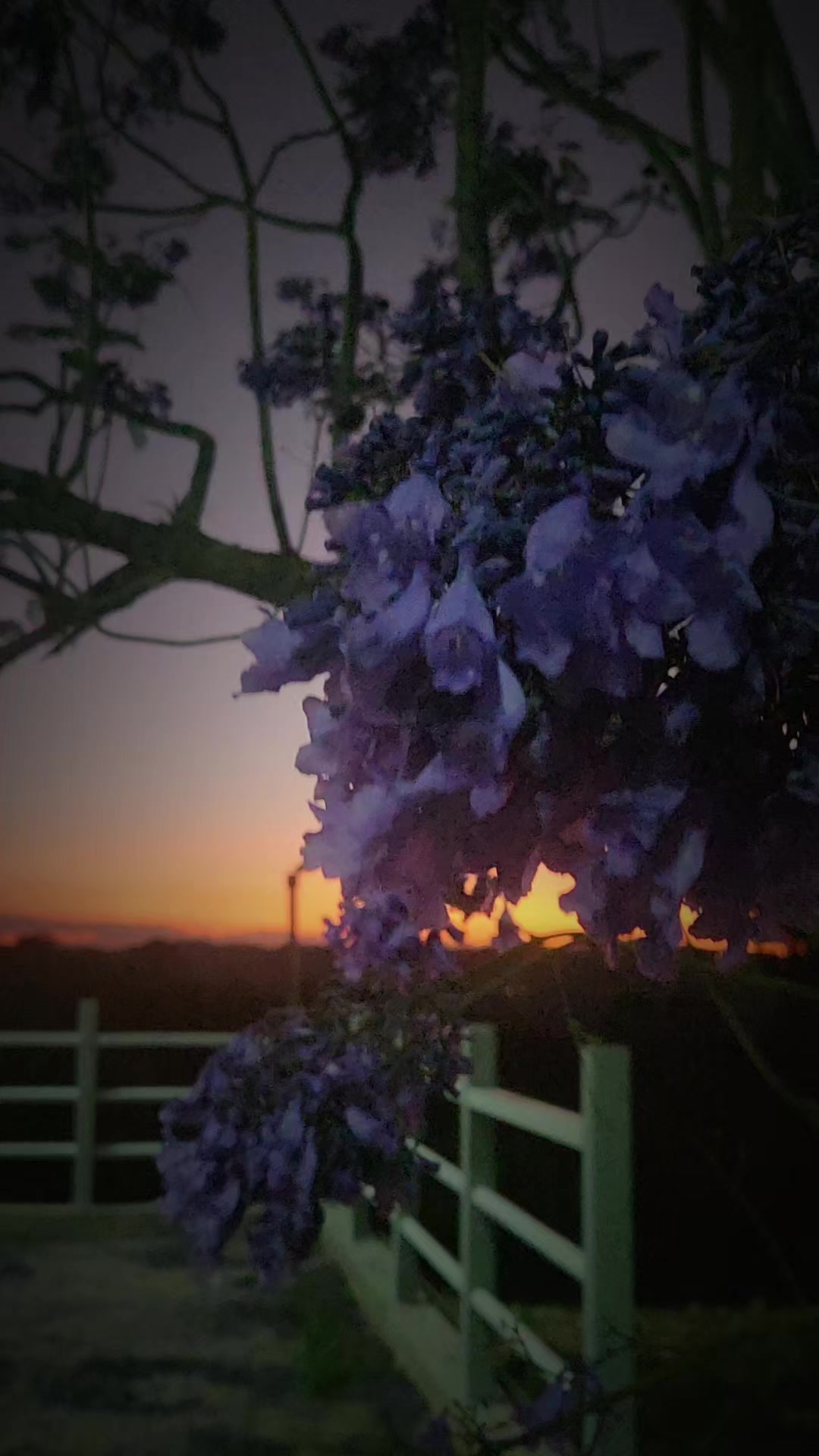 @✓ Cazando Atardecer_ 🌄☀️❤️🔥