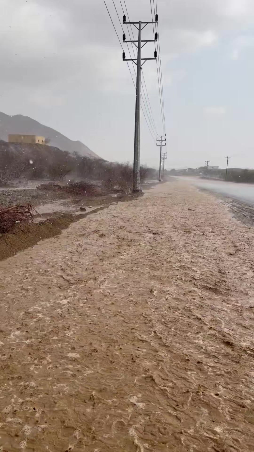 @آبووسآم برق آلَساحل⚡️⛈️