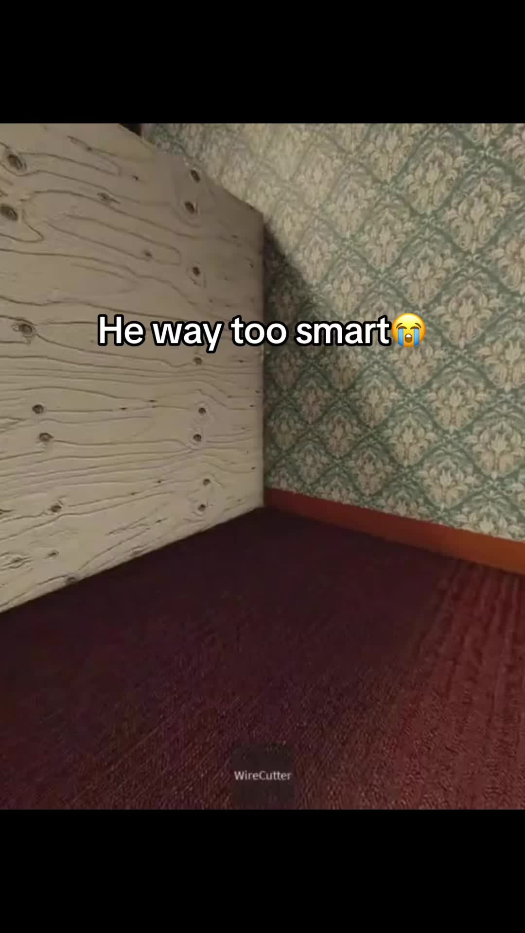 @Jay